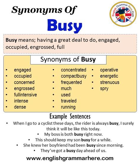 synonyms of ness|busy ness synonym.